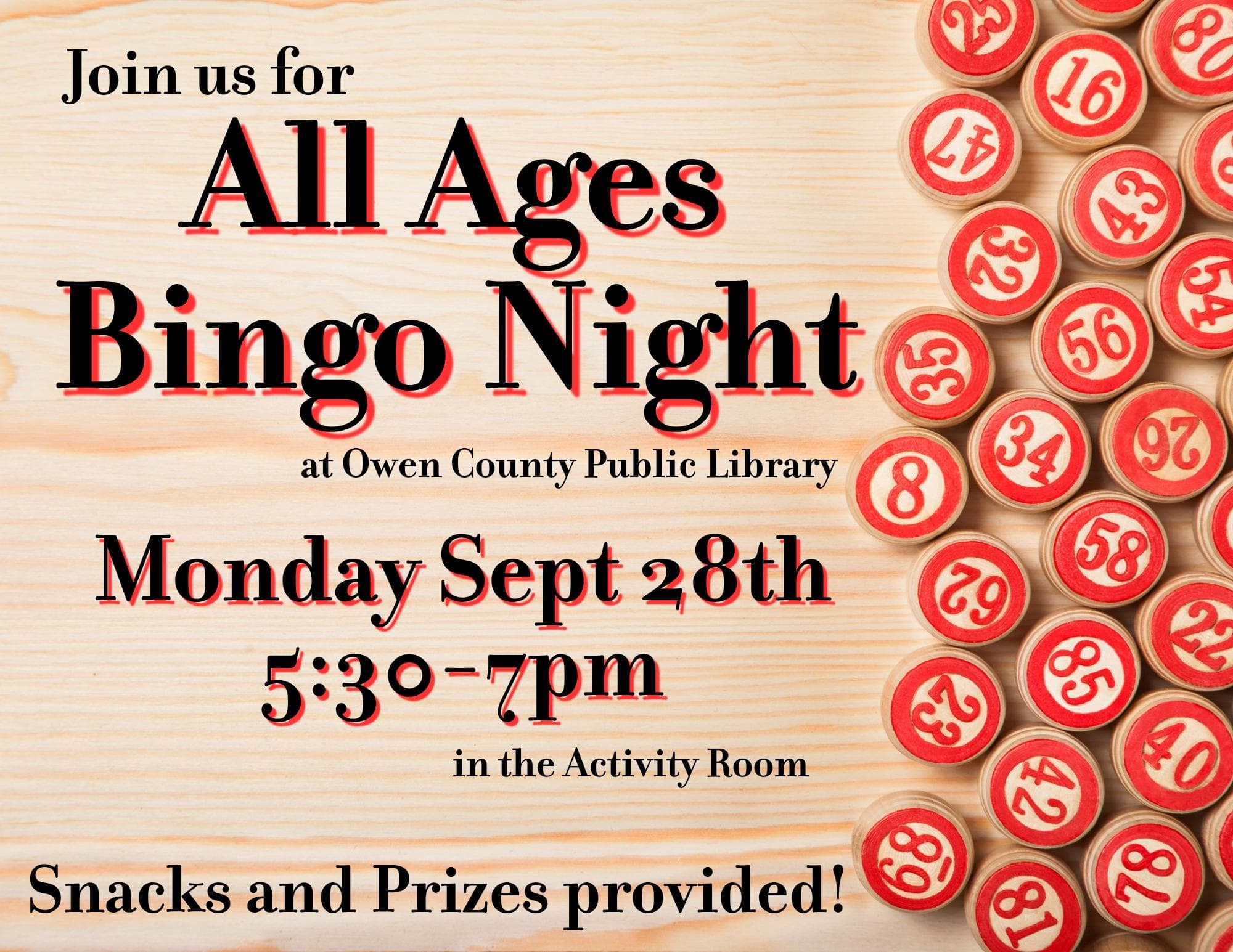 flyer for all ages bingo night