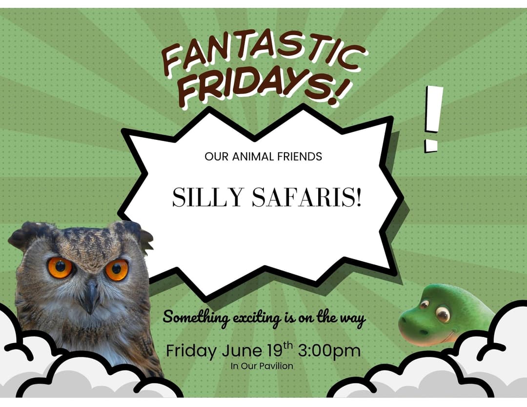 A flyer for Fantastic Friday program: Silly Safari. There is an owl. Friday June 19th, 3:00pm in the pavilion. 