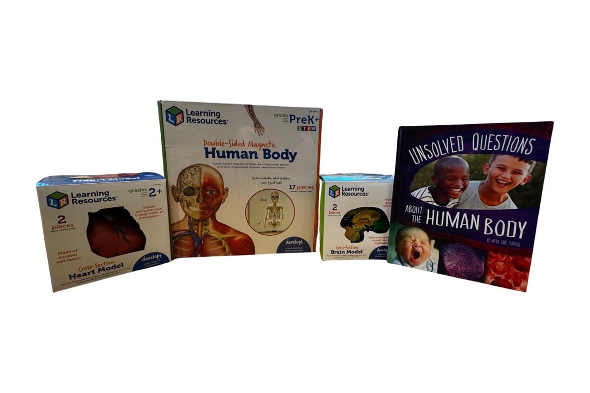 Human body learning kit: a heart model, a magnetic human body set, a brain model, and the book Unsolved Questions About the Human Body